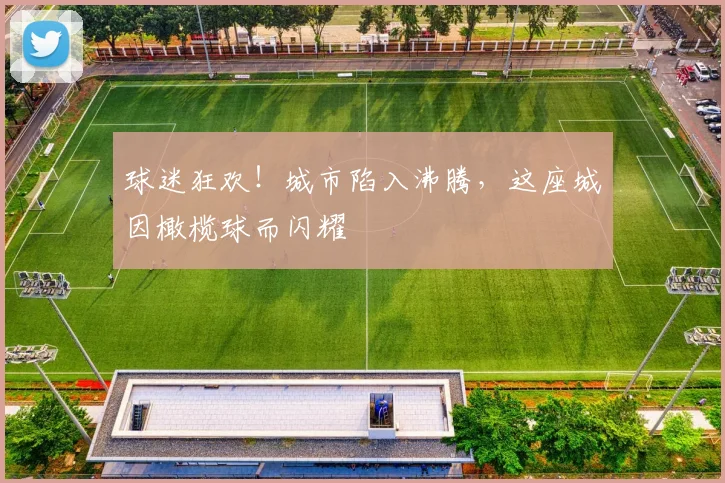 球迷狂欢!城市陷入沸腾,这座城因橄榄球而闪耀