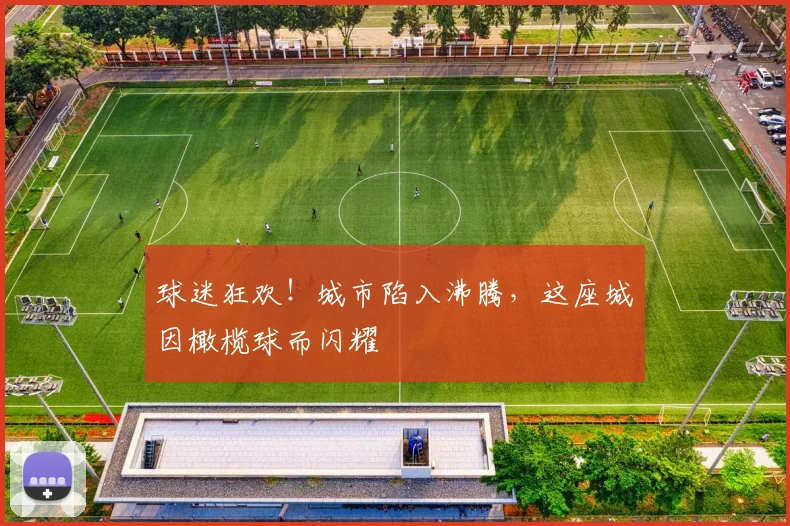 球迷狂欢！城市陷入沸腾，这座城因橄榄球而闪耀